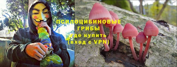 молекула духа Володарск