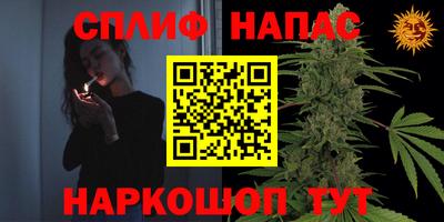 дживик Гусиноозёрск