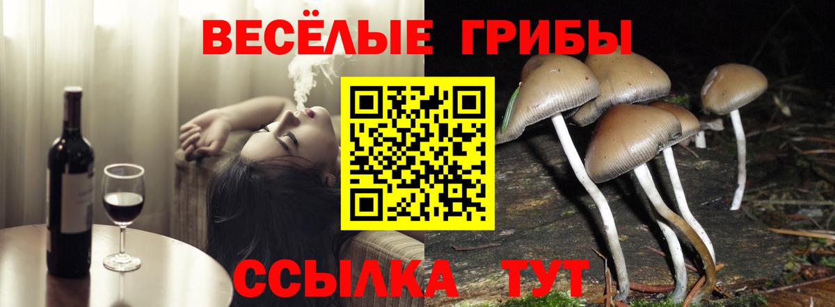 Галлюциногенные грибы мицелий  Вход с VPN  Назарово 